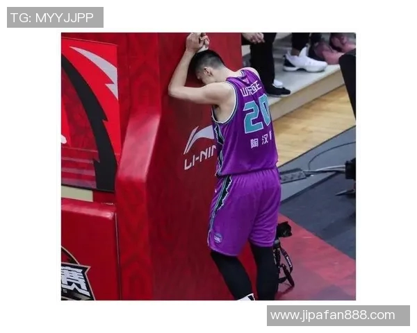 陶汉林：从篮球场上的拼搏者到社会公益的积极推动者的华丽转身