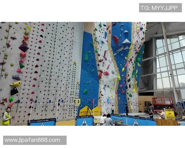 南京攀岩队实力飙升再创佳绩引领全国攀岩新潮流