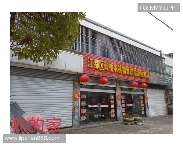 与刘娜畅谈篮球生涯的点滴与追求的精彩旅程